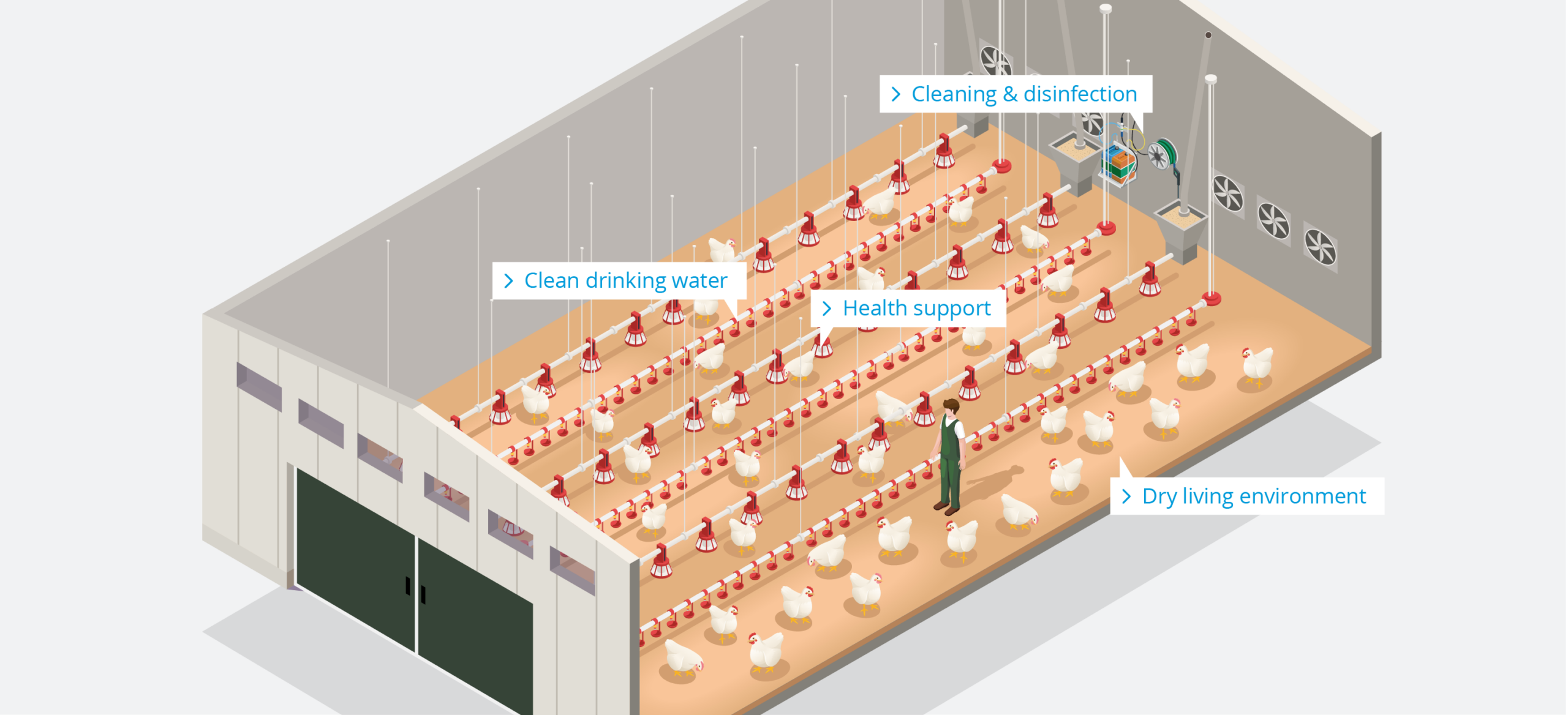 Poultry Farm – Broilers